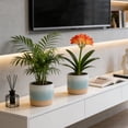 thumbnail image 7 of EFISPSS Ceramic Plant Pots 6 Inch, Set of 2 in Turquoise and Cobalt Blue, Indoor Flower Pots with Drainage for Succulents, Herbs, Home and Garden Decor, 7 of 7