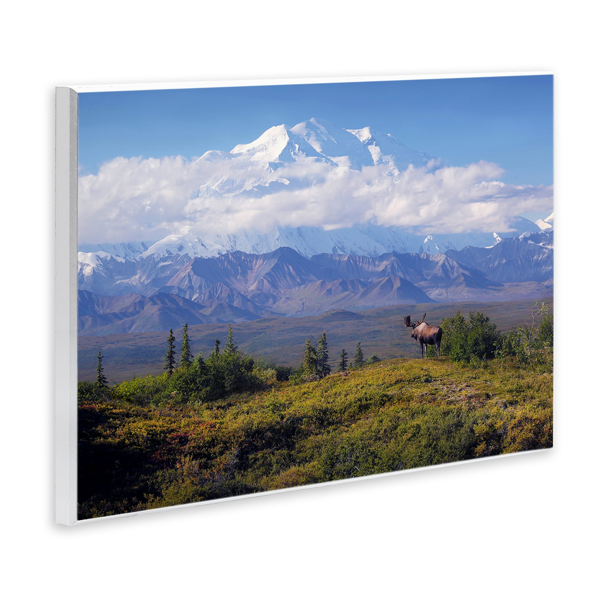 Stupell Industries Mountain Majesty Moose Landscape & Nature Photography Unframed Art Print Wall Art, 15 x 10