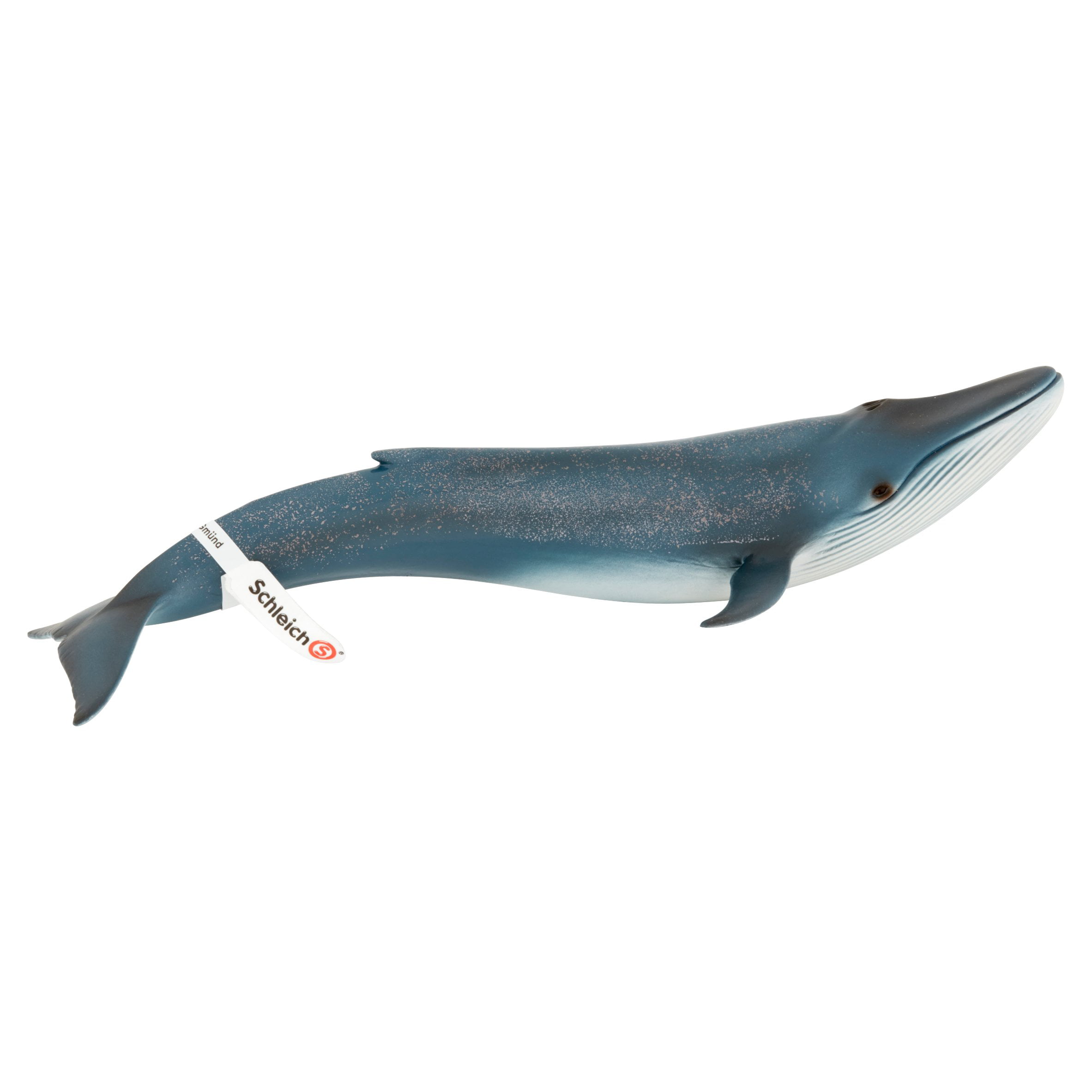 Schleich BLUE WHALE solid plastic toy wild zoo  marine sea animal NEW 