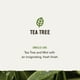 thumbnail image 3 of Champú y acondicionador Every Man Jack Tea Tree + Cedar 700 ml, 3 of 9