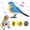 Sky Blue, variant on U.S Decorative Home Singing Chirping Bird Toy Interactive Battery Operated