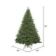 thumbnail image 3 of Vickerman 6.5' Oregon Fir Artificial Christmas Tree, Wide Angle Single Mold Multi-Colored LED Lights, 3 of 5