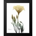 thumbnail image 2 of Koetsier, Albert 15x18 Black Modern Framed Museum Art Print Titled - Ocre Bloom 2, 2 of 5