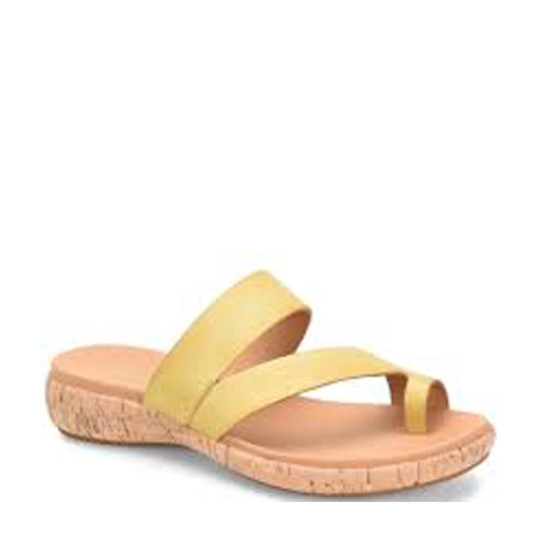 elaver slides