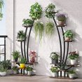 thumbnail image 1 of Tribesigns 6-Tier Tall Indoor Plant Stand Pack of 2, Metal Curved Display Shelf with 2 Hanging Hooks, Multi-Purpose Bonsai Flower Pots Plant Rack for Indoor, Garden, Balcony, Living Room, 1 of 6