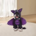 thumbnail image 1 of Riforla Pet Parody Transform Matching Strange Pet Pet clothes B L, 1 of 6
