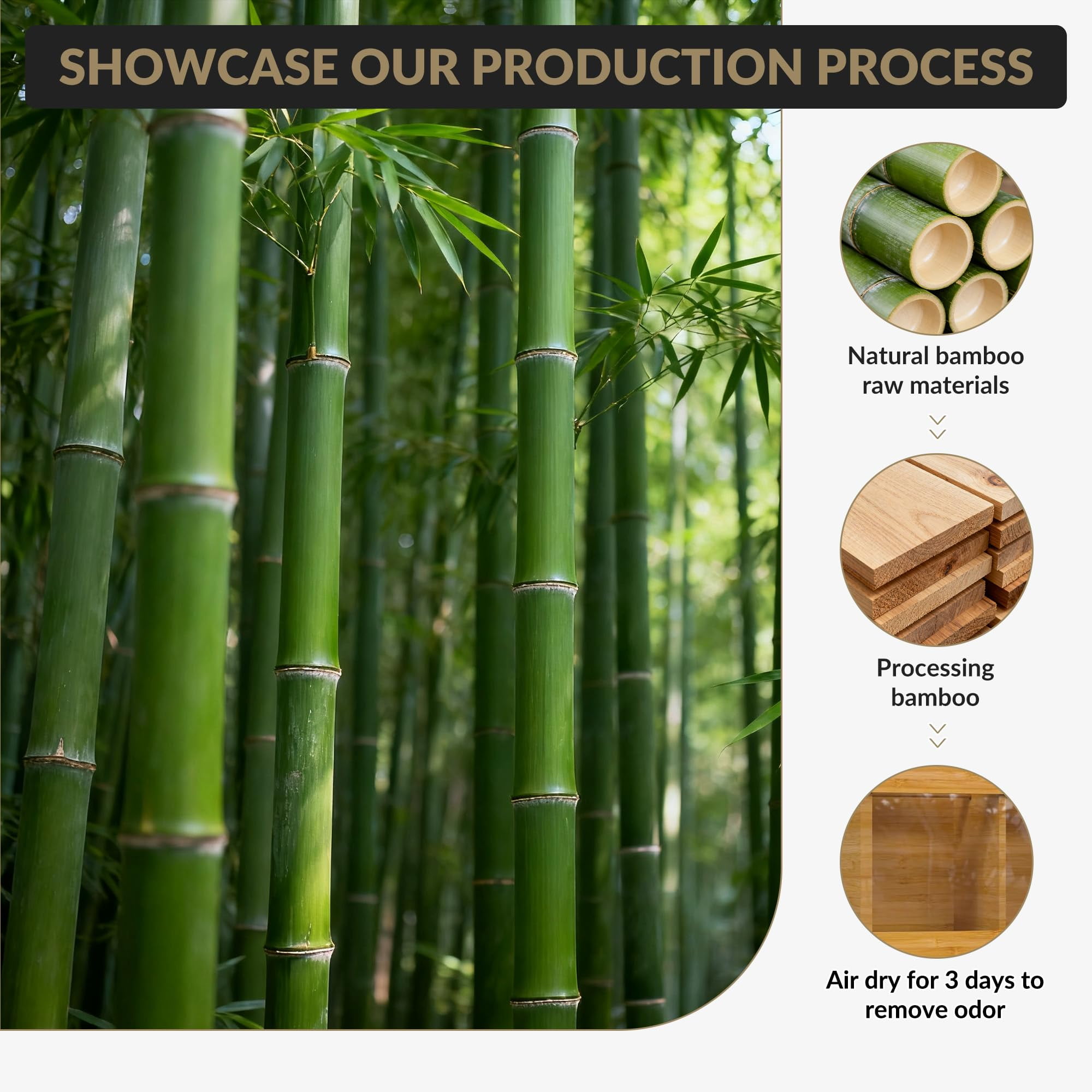 Towallmark 12 in Bamboo Kitchen Utensil Holder - 6 Compartments with Absorbent Mat