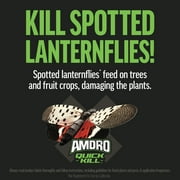 Amdro Quick Kill Outdoor Insect Killer, Kills over 500 Insects, Ready-to-Spray 32 oz Liquid