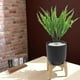 thumbnail image 4 of PLANTA DECORATIVA ARTIFICIAL ZENSE ELÓN NEGRO, 4 of 4