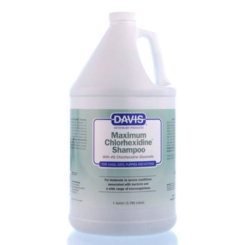 Davis Maximum 4 Chlorhexidine Medicate Pet Shampoo 1 Gallon Walmart
