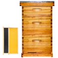 thumbnail image 1 of Bee Hiveaura Gold Standard con 8 marcos recubiertos de cera de abejas, 1 of 6