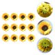 thumbnail image 3 of 12Pcs Simulated Sunflowers Imitation Flowers Head Decors Fake Sunflower Props HOMEMAXS 13891808-MX, 3 of 6