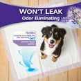 thumbnail image 4 of Home Protection Lavender Scent Odor-Eliminating Dog Pads, Regular Size, 21 in x 21 in, 30ct, 4 of 9