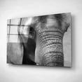 thumbnail image 4 of Epic Art 'Elephant' by Lori Deiter, Acrylic Glass Wall Art, 24"x16", 4 of 9