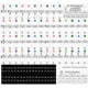 thumbnail image 2 of Pegatinas de piano de colores para 37, 49, 54, 61, 88 teclas, pegatinas de piano de colores pegatinas de notas de piano de repuesto para teclado para niños principiantes, transparente Sincero Hogar, 2 of 5