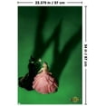 thumbnail image 2 of Wicked - Fiche d'introduction, 2 of 4