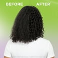 thumbnail image 6 of Garnier Fructis Curl Nourish Moisturizing Shampoo with Coconut Oil, 22 fl oz, 6 of 9