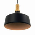 thumbnail image 4 of Noir Collection One Light Pendant, 4 of 5