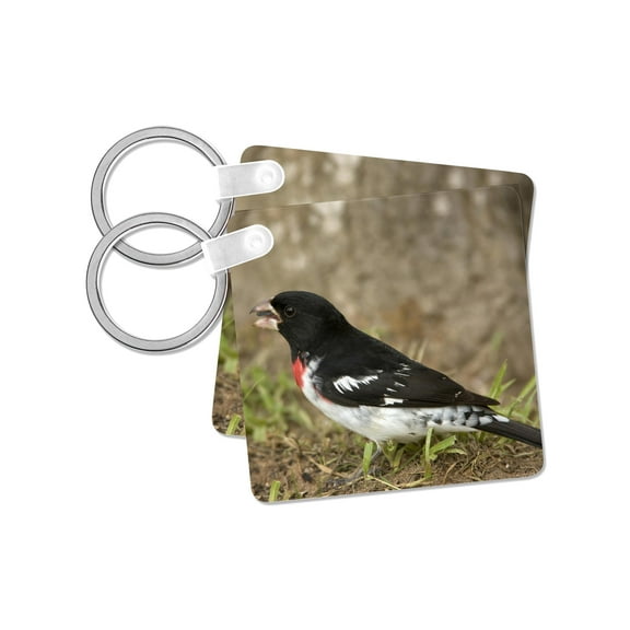 3dRose, Rose-breasted grosbeak bird, Coastal Texas - US44 MPR0076 - Maresa Pryor, set of 2 Key Chains