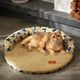 thumbnail image 2 of XWSHYW Mantas Estera para Gatos, Caseta para Perros, Verano, General, Tamaño Pequeño y Mediano, Estera para Dormir para Mascotas, Gatos, Mascotas, 2 of 7