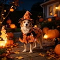thumbnail image 5 of Halloween Pet Cloak Hat Set, Cute Festival Costume for Dogs and Cats, Soft and Cozy Holiday Dress Up Outfit, Adjustable Fit for Pets, 5 of 7