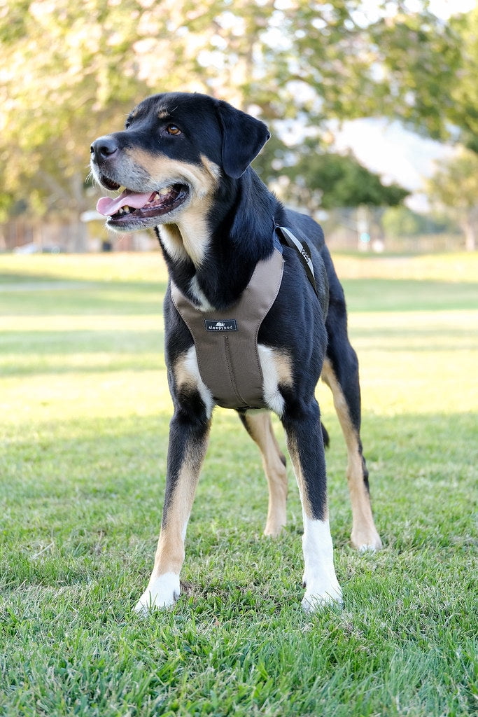 Clickit Sport Plus — Crash-Tested and Safety Certified Car Seat Belt Harness for Dogs — Large, Olive Green