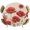 Beige, variant on Red Poppy Round Tablecloth 45-54 Inch Round Fitted Table Cloth with Elastic Edge, Spring Summer Farmhouse Flowers Rustic Burlap Waterproof Table Cover Protector for Outdoor Picnic Party Dining