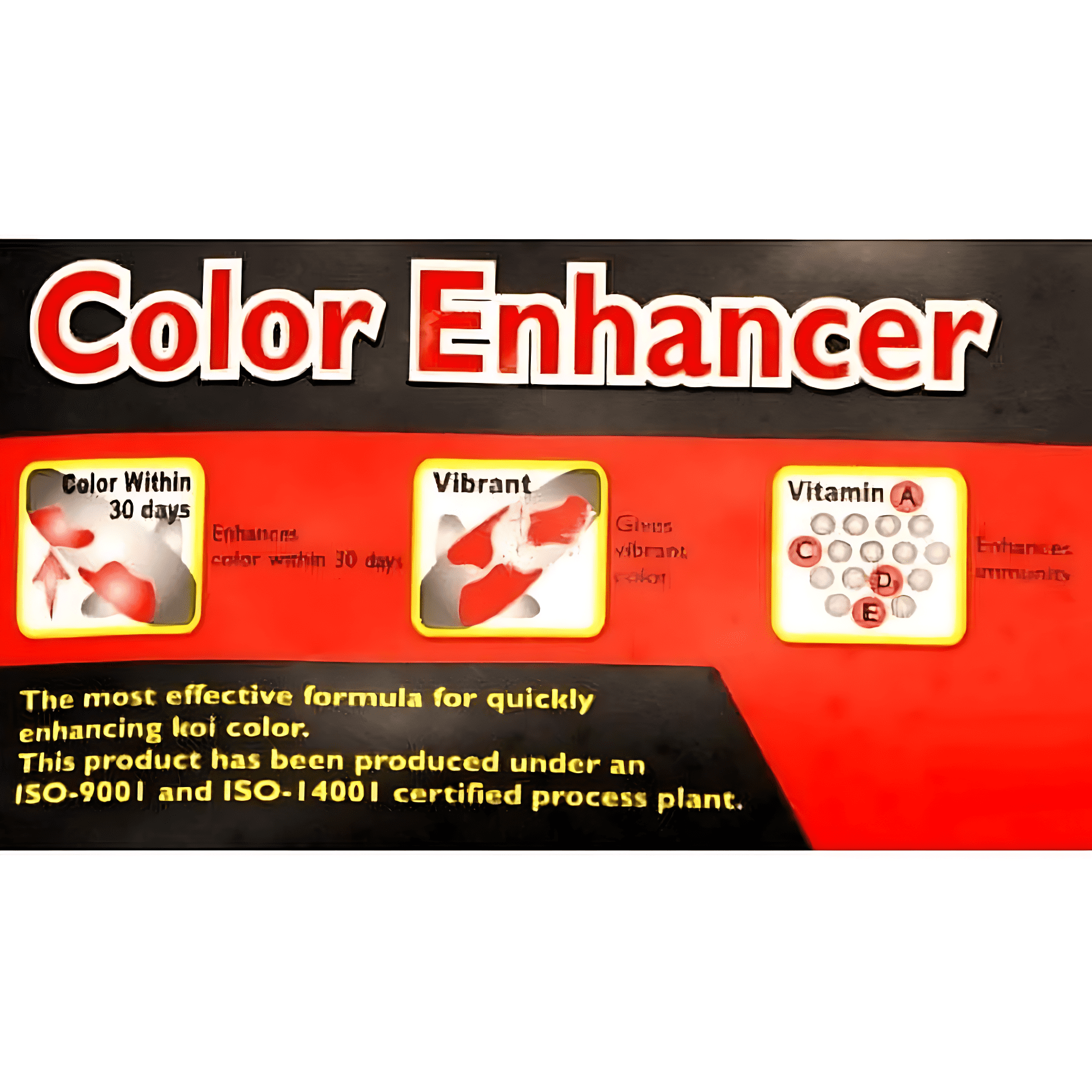 Aqua Master Color Enhancer Koi Food (1 KG) - Large Pellets