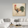 thumbnail image 3 of Trademark Fine Art 'Rooster 3' Canvas Art by Jean Plout, 3 of 3