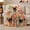 Bowtie Pugs, variant on Vintage Pug Portrait Pumpkins Autumn, Cozy Pet Portrait Pattern, Warm Flannel Blanket for Living Room and Bedroom, Dog Lovers autumn celebration Gift, Pet Lover Home Decor