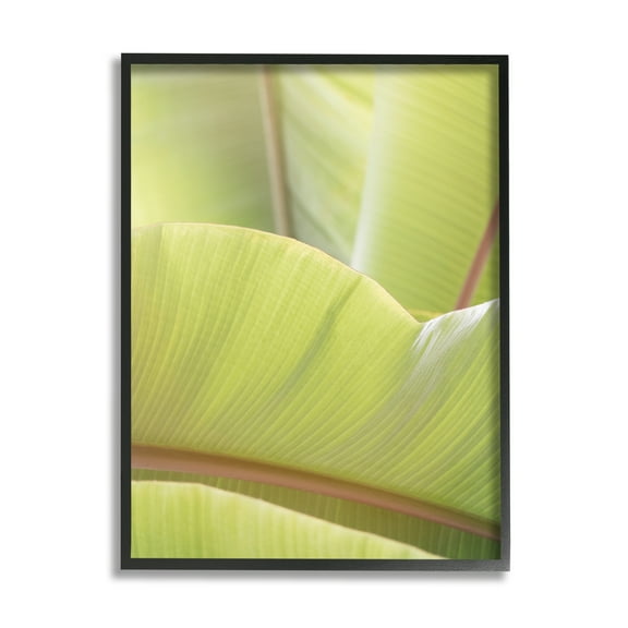 Stupell Modern Botanical Close Up Leaf Botanical & Floral Photography Black Framed Art Print Wall Art