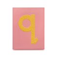 thumbnail image 3 of Cartas de papel de lija Montessori de Delmach, minúsculas, baldosas de madera de polipropileno, codificadas por colores con consonantes vocales, incluye caja de almacenamiento, 3 of 8