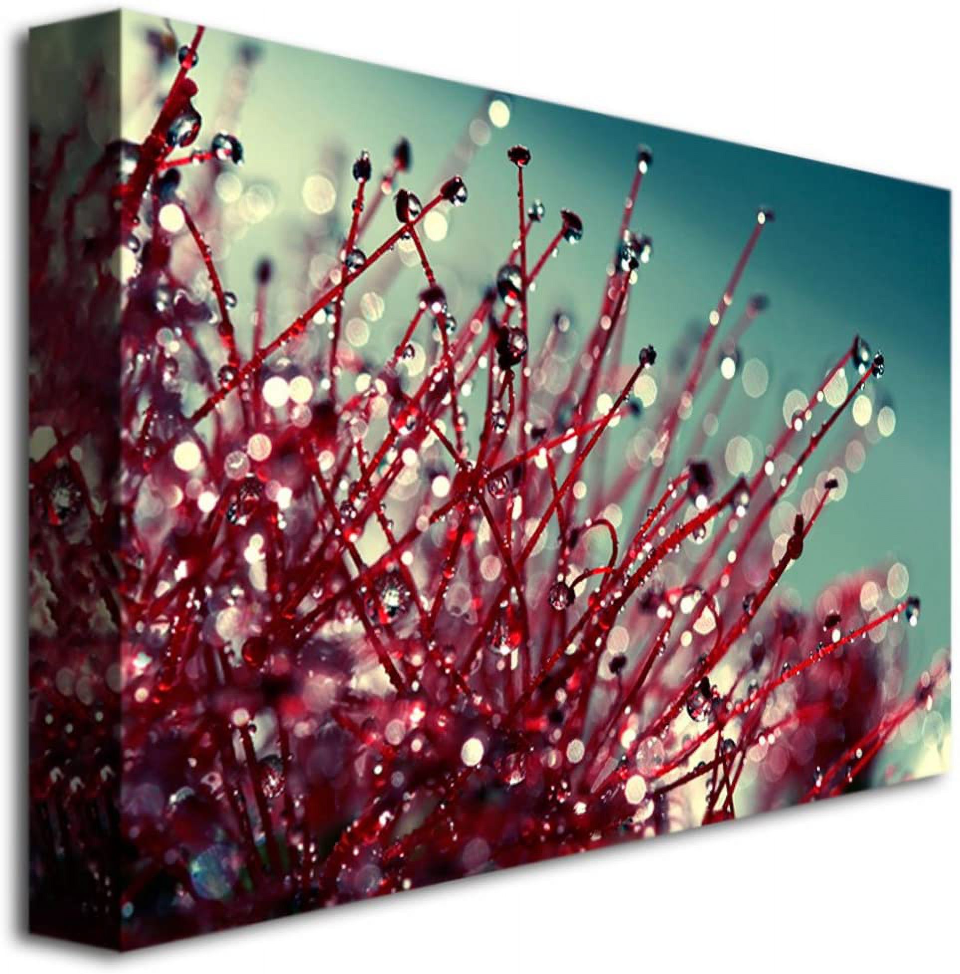 Trademark Fine Art Young 'For you and me' Canvas Art by Beata Czyzowska