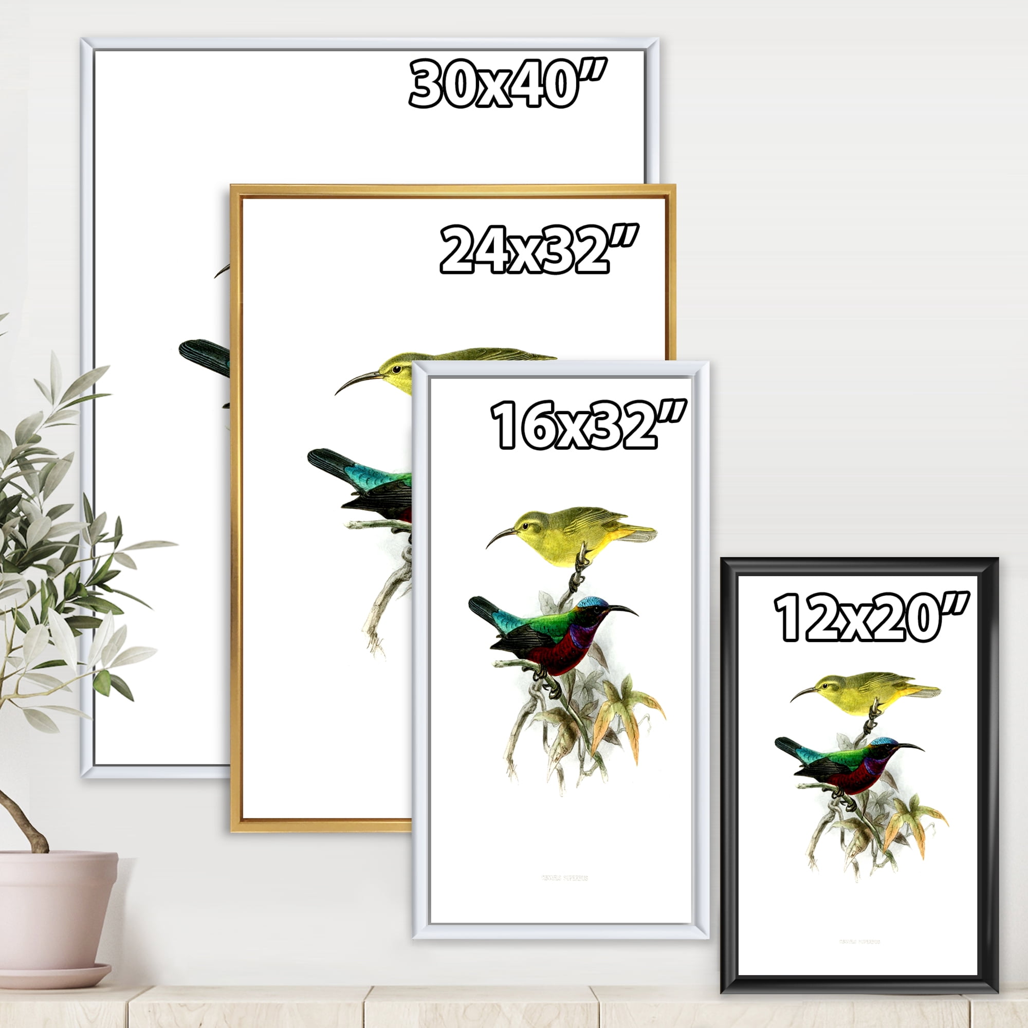 Ancient Australian Birds XV 12 in x 20 in Framed Painting Canvas Art Print, by Designart