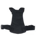 thumbnail image 1 of Collar &amp; Harness Fernando Collar y arnés, 1 of 6