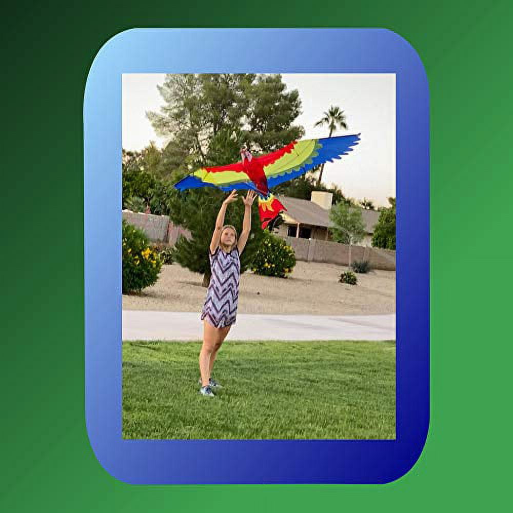 Premier Kites 7 Ft Parrot 3D Kite Big Kite for Adults and an Easy to Fly Kite for Kids | Extra Large Kite Has a Huge 86 inch Wingspan and a 41 inch Body