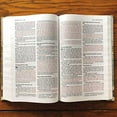 thumbnail image 6 of Zondervan 148701 NIV Thinline Bible - Comfort Print - Floral Cloth Over Board - Apr 2020, 6 of 11