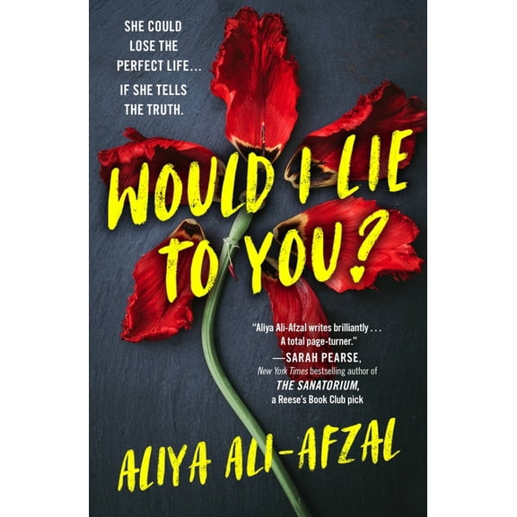 Would I Lie to You?, (Paperback)