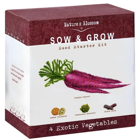 Exotic Vegetables Growing Kit - 4 Unique Plants to Grow From Seed: Purple Carrots, Blue Corn, Yellow Cucumber & Broccoli. Garden Gift for Children - Fun Gardening Set For Boys &