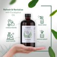 thumbnail image 2 of Aceite de eucalipto HBNO 475 ml, aceite esencial de gran tamaño, 2 of 6