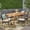 Natural, variant on Noble House Stillwater 7 Piece Wooden Patio Dining Set in Sandblast Dark Gray