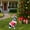 Black + Red, variant on Noble House Christmas French Bulldog Statue, Cheerful Holiday Dog Figurine in Santa Outfit, Brown Fur & Pink Shirt