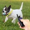 HotSpot Pets Wireless Waterproof & Rechargeable Long Range Dog Training