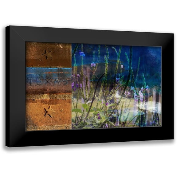 Jasper, Sisa 14x10 Black Modern Framed Museum Art Print Titled - 36x60 Texas Wildflowers (ASH)