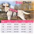 thumbnail image 3 of rabbitgoo Escape Proof Dog Harness, Soft Padded Full Body Pet Harness, Reflective Adjustable No Pull Vest with Lift Handle and Lesh Clip for Large Dogs Walking Hiking Training, Pink, 3 of 11