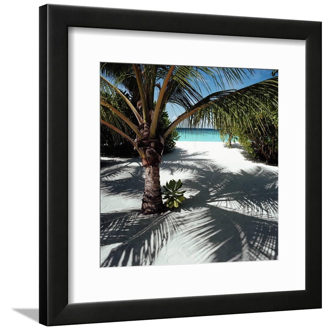 19x23 Tropical Sunset & Palm Tree Landscape Scenery Wall Decor Framed Picture 
