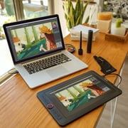 XPPen Artist Pro Series Drawing Tablet 12/13.3/15.6in Screen 1080P Graphic Monitor Animation Digital Pen Diasplay (12in Screen,Stand,Pen Holder)