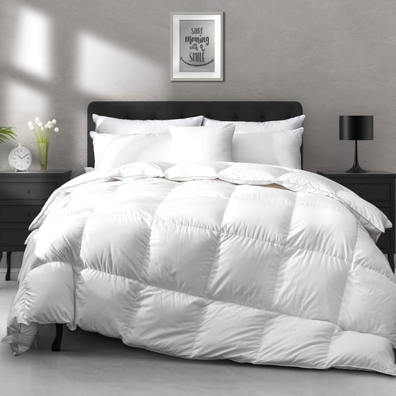 All Season Down Feather Fibers Comforter Queen Size - Ultra-Soft h Fill-Power Hotel Collection Duvet Insert, Fluffy Medium Warm Quilt with Corner Tabs(90x90, White)