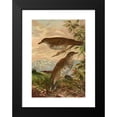 thumbnail image 2 of Johann Friedrich Naumann 11x14 Black Modern Framed Museum Art Print Titled - Geocichla Softest, 2 of 5