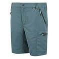 thumbnail image 3 of Regatta Mens Leesville III Shorts, 3 of 5